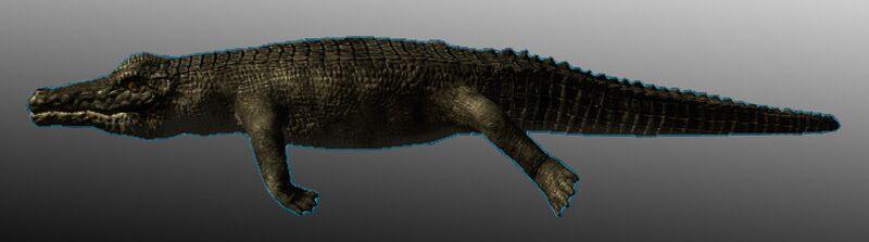 File:Large Crocodile 01.jpg