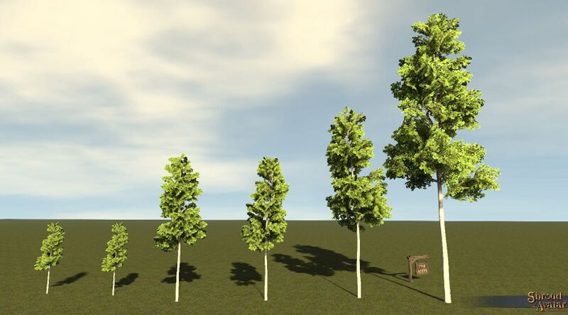 File:SotA Tree CommonAspen 6Pack.jpg