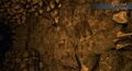 Ancient cave drawings depicting hunts, fauna, and sun worshiping line the inside of the Mound of the Sun