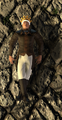 Thumbnail for version as of 22:56, 6 July 2015