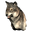 Pristine Timber Wolf Head