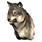 Pristine Timber Wolf Head
