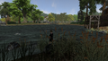 Fishing the Lower Falls at Dawn in Jaanaford