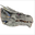White Wyvern Head