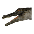 Thumbnail for version as of 18:44, 13 September 2019