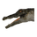 Pristine Crocodile Head