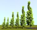 Thumbnail for version as of 19:11, 27 April 2016