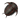 Trilobite (Lava Fish)