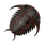 Trilobite (Lava Fish)