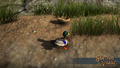 Thumbnail for version as of 00:38, 30 March 2024
