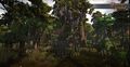 Deep in the bayou.