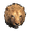 Pristine Lion Head
