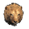 Pristine Lion Head