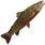 Brook Trout