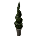Thumbnail for version as of 18:43, 27 August 2019