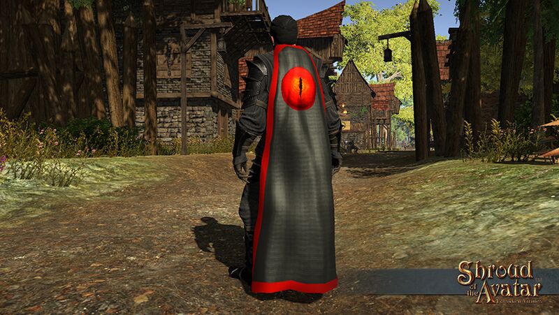 File:Item oracle cloak.jpg