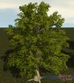 Puzzle Tree