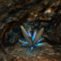 Thumbnail for version as of 05:21, 12 May 2022