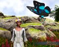 Flower Crown and Giant Butterfly Pet