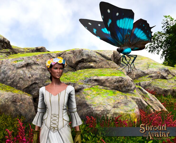 File:Butterfly.jpg