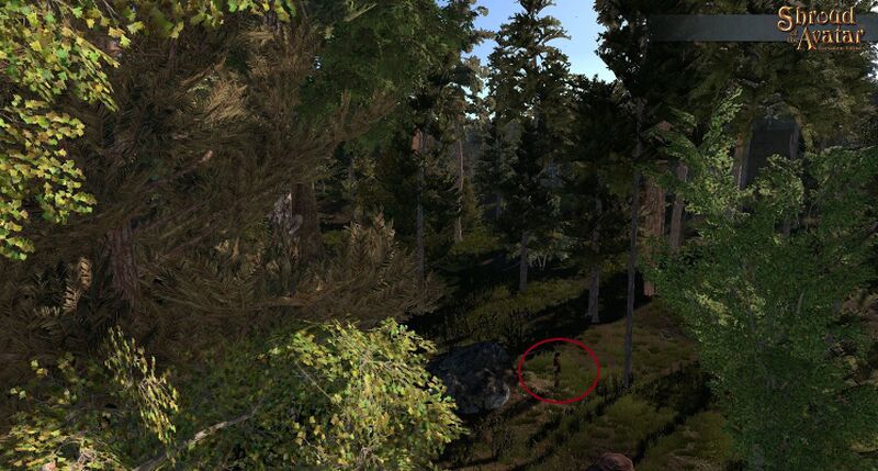 File:SotA NorthNaryad 1.jpg