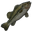 Spotted Bass
