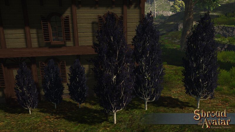 File:SS CrownShop BlueCypressTrees A.jpg