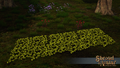 Thumbnail for version as of 17:41, 26 April 2024