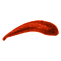 Thumbnail for version as of 20:11, 12 September 2019