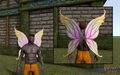 Thumbnail for version as of 16:15, 1 August 2016