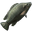 Tilapia