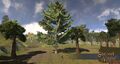 Thumbnail for version as of 19:31, 16 March 2017