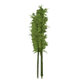 Thumbnail for version as of 15:10, 1 February 2017