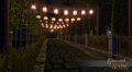 The Bamboo Tunnel at night