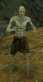 Thumbnail for version as of 13:44, 19 March 2026