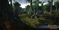 East Longfall Wetland