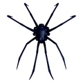 Thumbnail for version as of 05:15, 22 October 2017