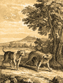 Thumbnail for version as of 05:11, 3 April 2016