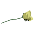 Thumbnail for version as of 21:04, 13 September 2019