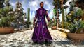 Elven Elder Mage Robe
