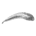 Thumbnail for version as of 20:13, 12 September 2019