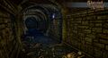 Halls of Illusion and Royalty