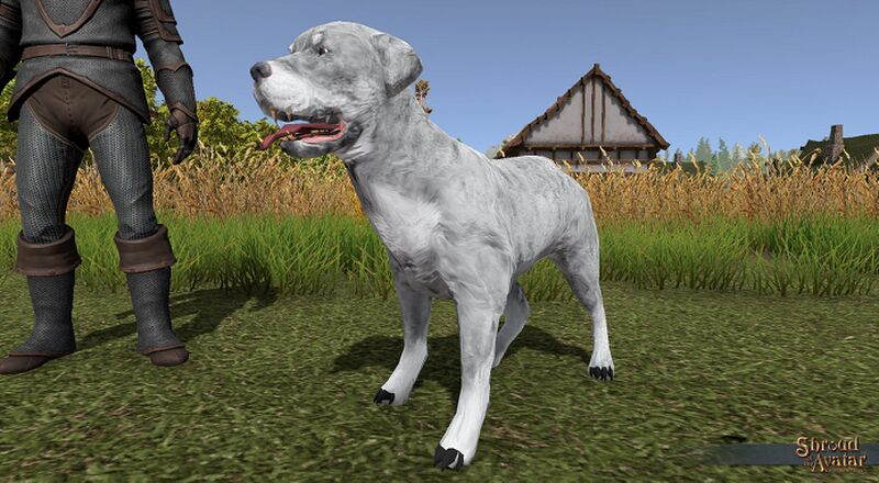 File:SotA Winter Rottweiler Pet view2.jpg