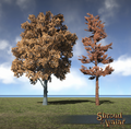 Thumbnail for version as of 22:07, 16 February 2018