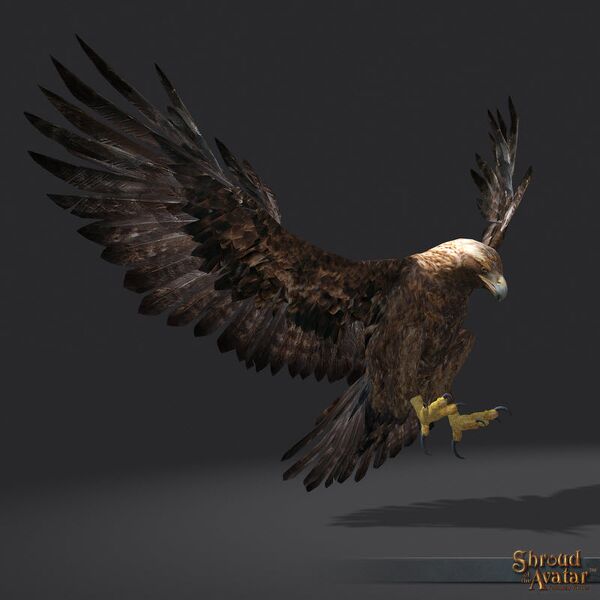 File:SotA GoldenEagle Pet.jpg