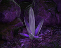 Thumbnail for version as of 20:05, 15 May 2021