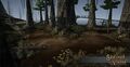 Thumbnail for version as of 19:33, 24 March 2017