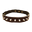 Taming Collar