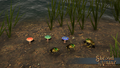 Thumbnail for version as of 17:39, 26 April 2024