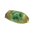 Thumbnail for version as of 15:22, 12 October 2020